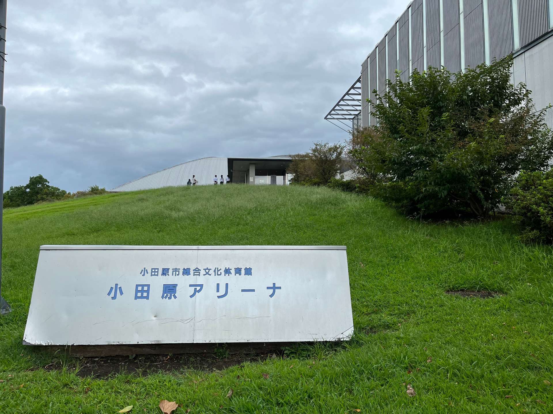 シントマス デル VIH エン ムヘーレス