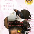 【新百合ヶ丘mana整骨院】子連れで骨盤矯正が受けられます☆